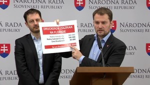 Drucker urobil zázrak aj na Floride, vilu kúpil za neprimerane nízku sumu, povedal Matovič