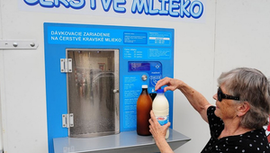 Zdražie mlieko a mliečne výrobky? Analytik vysvetľuje, čo sa deje na trhu