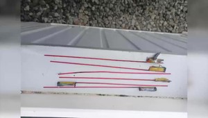 K bezbranným zvieratám v kotercoch v karanténnej stanici niekto úmyselne hádzal petardy