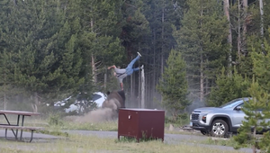 Bizón v Yellowstone zaútočil na turistu. Po náraze ho vymrštil niekoľko metrov do vzduchu
