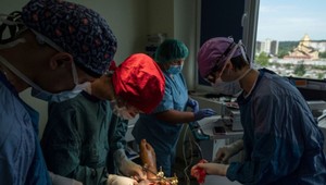 563. deň na Ukrajine: Ukrajinské lekárky budú musieť nastúpiť do armády