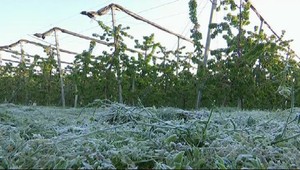 Výstraha SHMÚ. Na celom Slovensku sa pripravte na prízemné mrazy