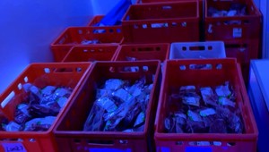 NAŽIVO: Tlačovka SPPK ku škandálu s poľským mäsom