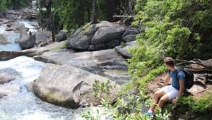 Výnosy TMR za deväť mesiacov vzrástli o 24 percent