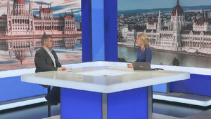 Štúdio 24: Maďari pred parlamentnými voľbami