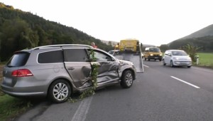 Znížená viditeľnosť na cestách zvyšuje nebezpečenstvo zrážok s migrujúcou zverou