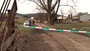 Polícia vyšetruje nechutný prípad. Na družstve v Olovároch našli asi 180 mŕtvych zvierat