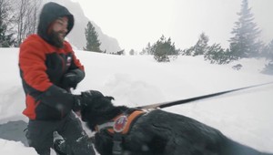 Naša kynológia je na svetovej úrovni. HZS má nových psích pomocníkov