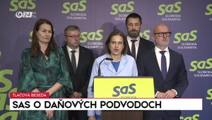 Tlačová beseda SaS o daňových podvodoch