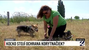 Pozrite si zhrnutie aktualít v relácii Udalosti 22 z dňa 24. októbra 2023