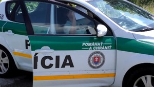 Mladík napadol policajta. Matka tvrdí, že ju chránil