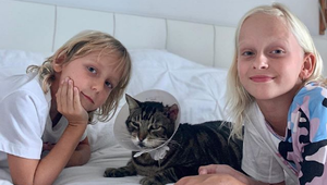 Krutá skúsenosť! Kocúr Zuzany Belohorcovej ostal zaseknutý na letisku!