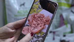 Psičkári pozor: Páchateľ rozhadzuje v meste špekáčiky so špendlíkmi a klincami