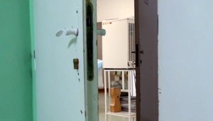 Myslela si, že to neprežije. Polícia už zadržala podozrivých z dobitia predavačky