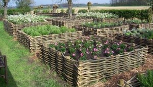 Vyvýšené záhony: Ako ich vybudovať?