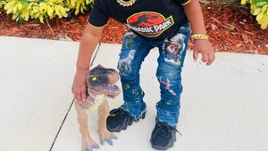 Ľudia sú z konania matky zhrození: Syna nechala potetovať už v 6-tich mesiacoch, odpadnete, ako vyzerá!