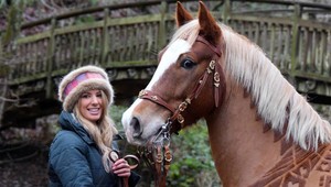 Tajomstvá stajlistov koní: Nepoznaný svet jazdeckého umenia