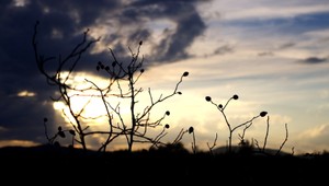 Aká nás čaká nedeľa? Prekvapiť môže aj dážď