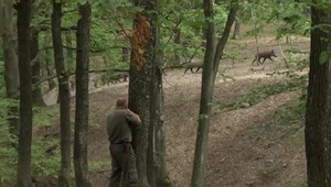 Pre odstrely diviakov možno budete musieť zvoliť inú trasu