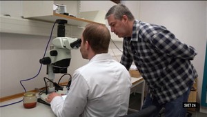 Svet 24 o burze otrokov ale aj o druhej Eiffelovke v Paríži