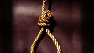 V lese pri Plavnici našli obesenca