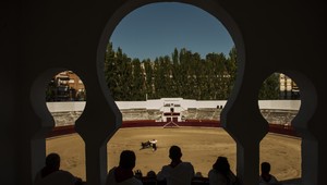 Asi najväčší vôl sveta žije na severe Španielska, váži 2 tony