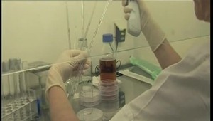 Silná alergia už nemusí ohrozovať váš život: Záchranou je imunoterapia