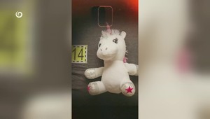 Prípad zneužívania nevlastnej dcéry (3) pokračuje. Obvinená je už aj družka páchateľa