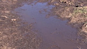 Lúku pod oknami bytoviek niekto zalial smradľavou tekutinou