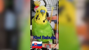 Ciki caki ciki cak! Slovenskooo. Naši hokejisti majú netradičného fanúšika!