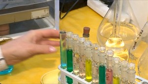 Vyhýbajte sa uhynutému vtáctvu! Vtáčia chrípka je prenosná aj na človeka