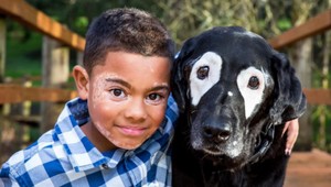 Pes s kožnou chorobou pomáha deťom s rovnakou diagnózou