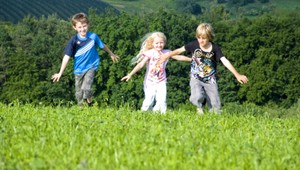 Zjedli ste plody a je vám nevoľno? Toxikológovia majú špeciálnu linku