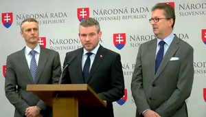 Vidím krv v očiach a penu v ústach opozície, hovorí Pellegrini