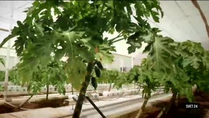 Adele telefonovala fanúšikom, vymysleli autobus bez vodiča a baletka odišla z Moskvy- aj o tom je nové vydanie relácie Svet 24