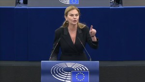 Počúvajte ma, vy panoptikum, kričala Beňová v pléne EP. Potkany boli Mečiar s Flašíkom, odkazuje jej kolegyňa
