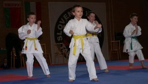 tvojenoviny: Na Slovensku máme prvú školu so zameraním na Taekwon-Do
