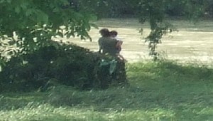 Matke Simonka spadla do Váhu