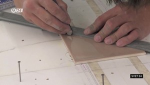 Svet 24 o premnožených pávoch a výprave za slonmi