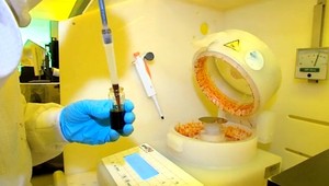 Imunitný systém napadne rakovinové bunky a zničí ich. Vedci za prelomový výskum dostali Nobelovu cenu