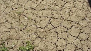 Stav prírodnej katastrofy. Juhoafrickú republiku sužujú dlhodobé suchá