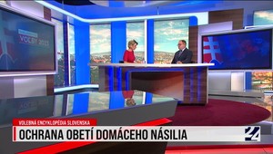 Volebná encyklopédia Slovenska: Zmenu vo vnímaní  Istanbulského dohovoru u nás dokáže priniesť iba tlak EÚ