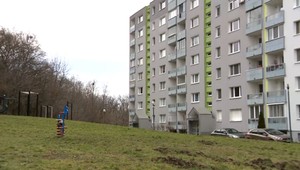 Diviačia zver na sídlisku: Obyvatelia majú obavy