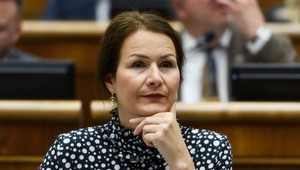 Test na alkohol v parlamente? Poslankyňa navrhuje prísnejšie pravidlá