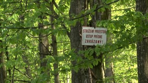 Štát rieši, podľa akých zákonov a kto má odstrániť stovky ton jedovatých látok na východe