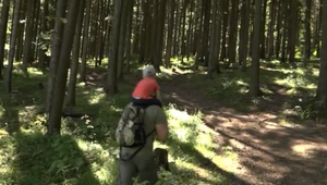 Práve tí najmenší sú v horách najohrozenejší. Beriete ohľad na ich schopnosti?