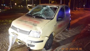 Dopravná nehoda s tragickým koncom: O život prišiel chodec aj pes