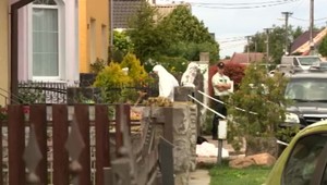 Zvrat v prípade vraždy v Cíferi