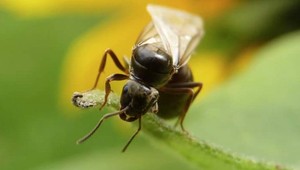 Uhádnite, s čím si meteorológovia poplietli dažďové mraky