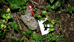 Díler (19) ukrýval v blízkosti babkinho domu 800 dávok marihuany